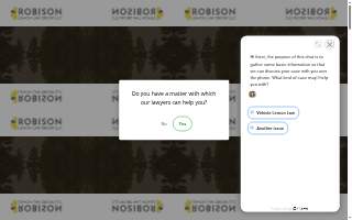 Robison Lemon Law Group LLC website