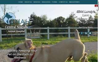Central Niagara Animal Hospital website