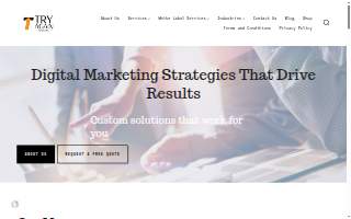 Try Again Marketing of North Massapequa website