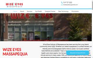 Wize Eyes Massapequa website