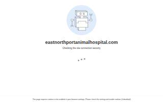 East Northport Animal Hospital website