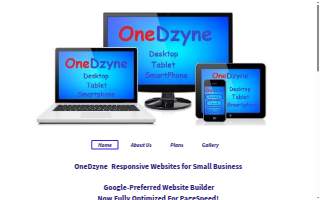 OneDzyne website