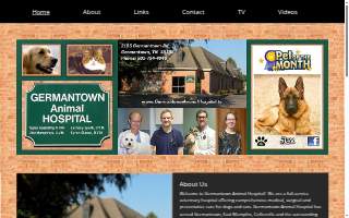 HandyMike website