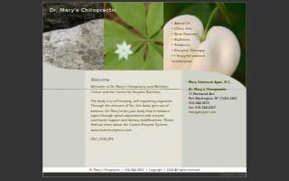 Dr. Mary's Chiropractic & Wellness Center website