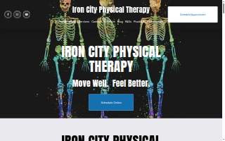 Iron City Physical Therapy website