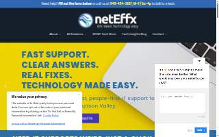 netEffx website