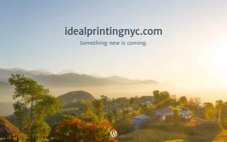 Ideal Printing NYC LLC website