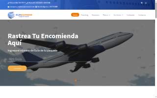 Sur Express Courier of Queens website