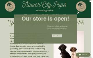 Flower City Pups Grooming Salon website