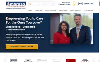 Amoruso & Amoruso, LLP website