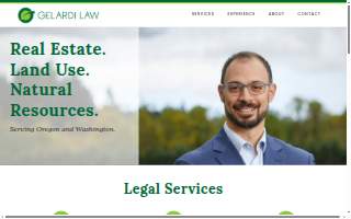 Law Offices of Vincent Gelardi website