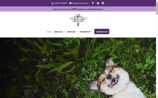 Companion Animal Medical Center website
