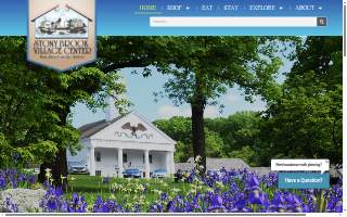 Stony Brook Village Center website