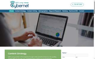 SEO Company Long Island | Internet Marketing - Local Media Solutions website