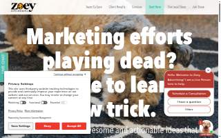 Zoey Advertising website