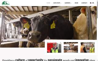 Riverview Accounting Partners website