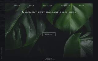 A Moment Away Massage & Wellness website