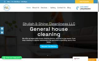 Stylish & Shine Cleanliness Llc of West Hempstead website