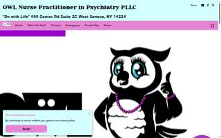 owl psychiatry of West Seneca website