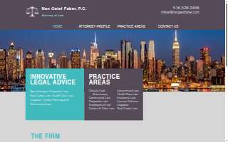 Nan Geist Faber website