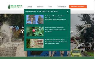 Rain King Waterproofing - Rye website