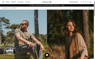 Pullin painting website