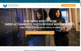 The Search Guru website