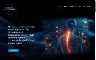 Caruso Acupuncture : Frank Caruso, LAC website