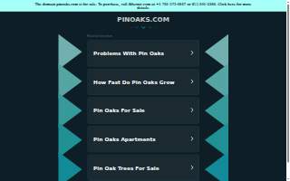 Pin Oak Self Storage website