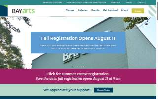 BAYarts website