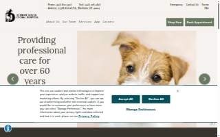 Detroit Dover Animal Hospital website