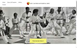 Boa School Of Martial Arts website