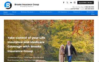 Brooks Insurance Group website