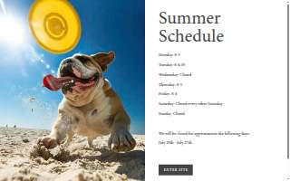 Shaker Square Animal Hospital of Bedford Heights website
