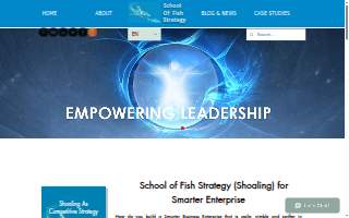 School of Fish Strategy Consulting website