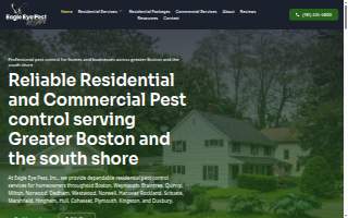 Eagle Eye Surveying website