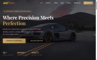 Next Level Auto Detailing website