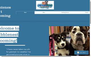Bubble-Nest Grooming website