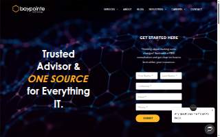 BayPointe Technology website