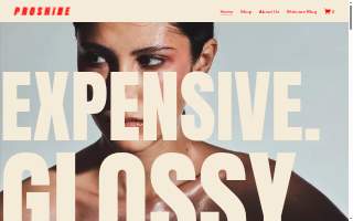 ProShine Car Wash website