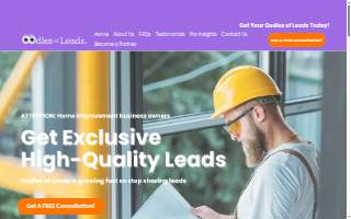 Oodles of Leads website