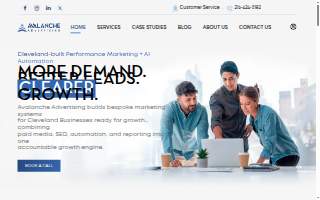 Avalanche Advertising website