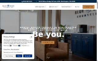 Blue Boat Counseling website