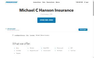 Hanson Insurance website