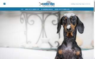 Kleins Pharmacy website