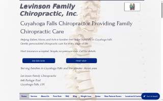 Levinson Family Chiropractic website