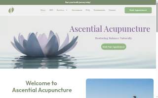 Ascential Acupuncture LLC website