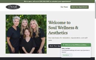 Soul Wellness & Aesthetics website