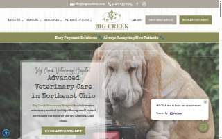 BIG CREEK VETERINARY website