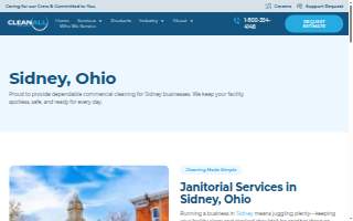 Clean All Services website